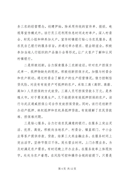 村镇银行年终总结及计划范例.docx