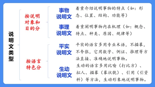 期末专项复习 说明文阅读复习（课件）-2024-2025学年语文五年级上册（统编版）