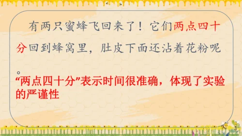 14《蜜蜂》课件