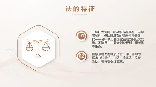 简约大气法律知识工作汇报动态PPT