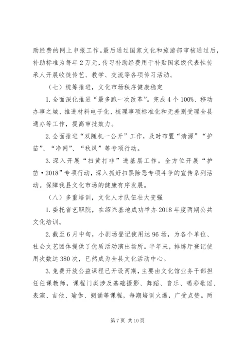 文广新局XX年上半年工作总结及下半年工作安排.docx