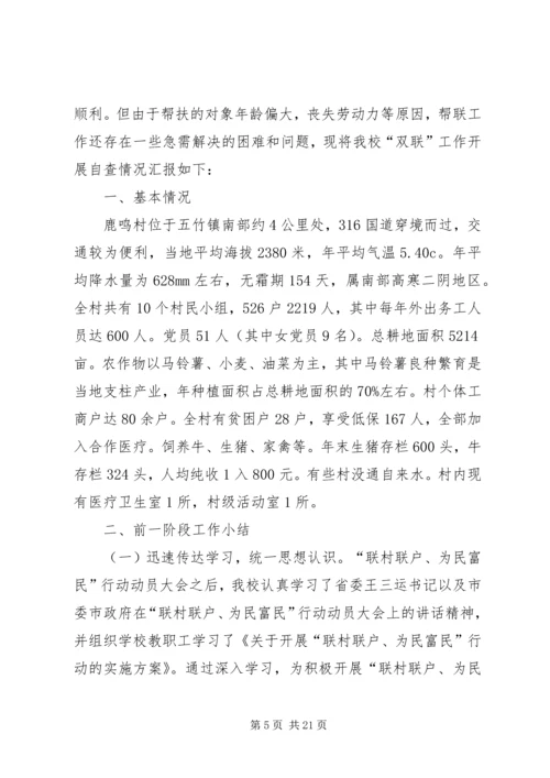 双联双民自查报告.docx