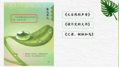 三年级语文上册第七单元整合课课件
