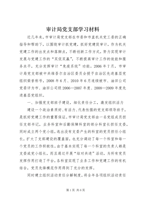 审计局党支部学习材料.docx