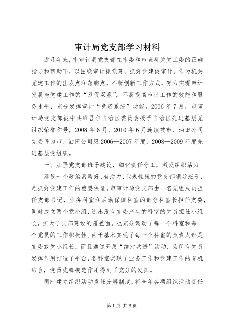 审计局党支部学习材料.docx