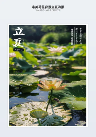 唯美荷花背景立夏海报