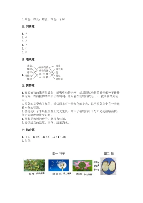 科学四年级下册第一单元植物的生长变化测试卷带答案（研优卷）.docx