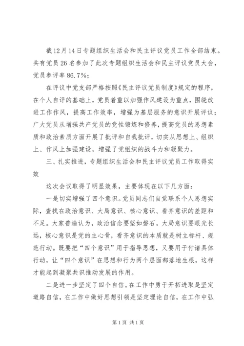 不忘初心牢记使命主题教育专题组织生活会和民主评议党员工作总结.docx