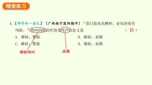 7.1.3两栖动物的生殖和发育-八年级生物人教版下学期同步精品课件(共31张PPT)