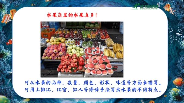 18.富饶的西沙群岛  课件