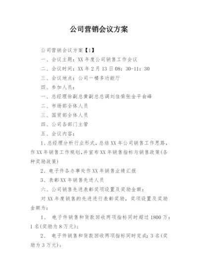 公司营销会议方案.docx