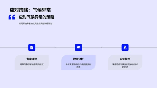 大寒气候影响报告