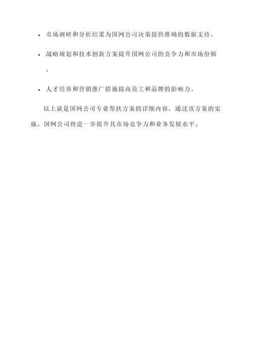 国网公司专业帮扶方案