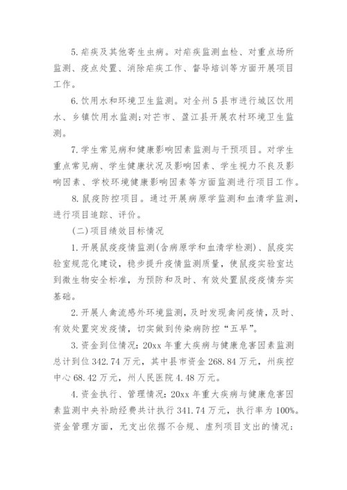 财政项目支出绩效监控报告.docx