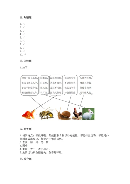 教科版一年级下册科学期末测试卷【预热题】.docx