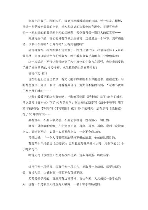 有关植物作文锦集5篇.docx