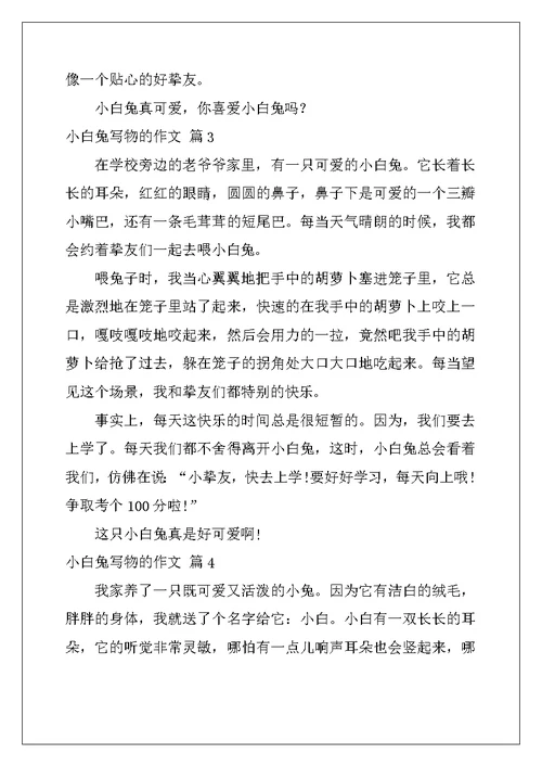 2022年小白兔写物的作文合集6篇