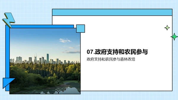 森林改培：挽救绿肺