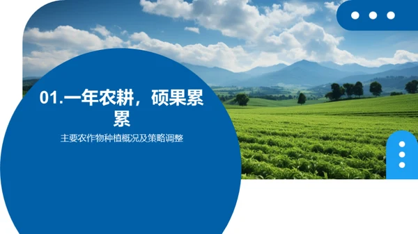 种植之道，成果之光