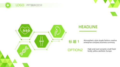 绿色智慧医疗信息化建设工作总结PPT