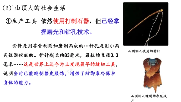 第1课 中国境内早期人类的代表—北京人  课件