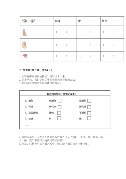 教科版一年级下册科学期末测试卷含完整答案（全国通用）.docx