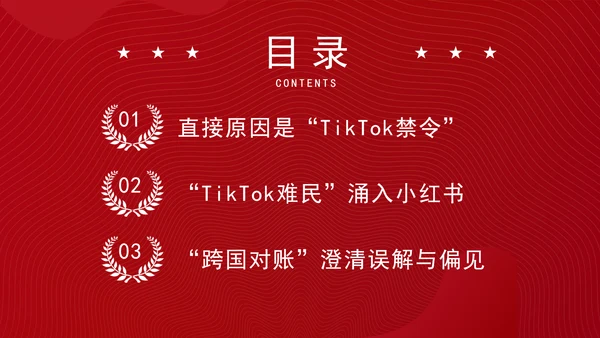 关于中美网民“小红书上交朋友”解说PPT课件