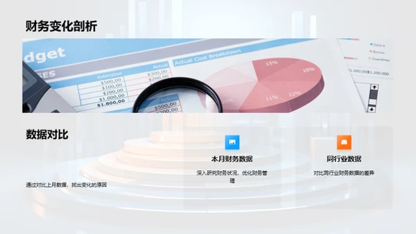 财务表现与策略调整