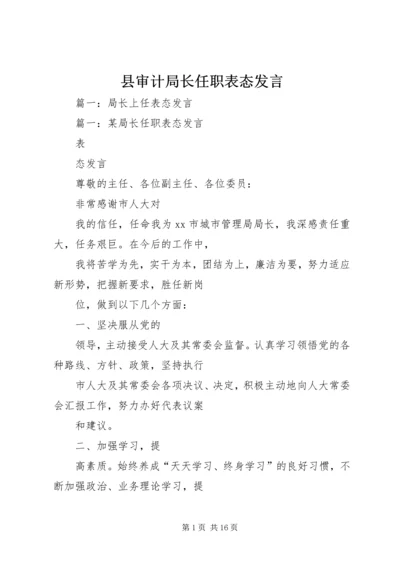 县审计局长任职表态发言.docx