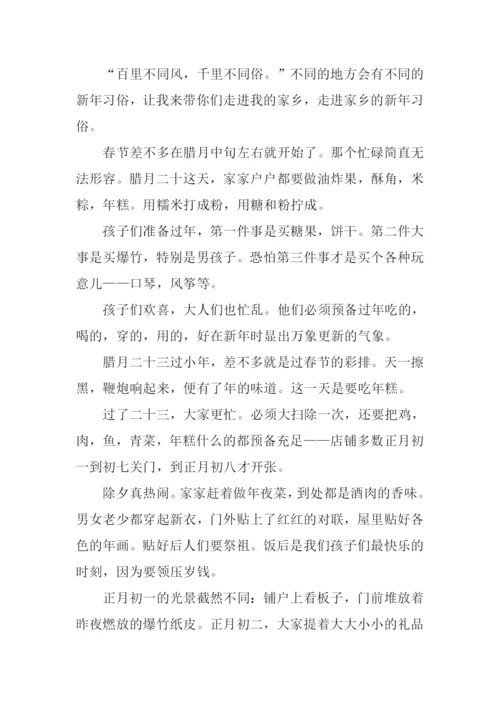 家乡的春节作文600.docx