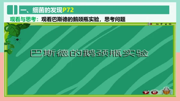 5.4.2  细菌  课件-人教版生物八年级上册(共39张PPT)