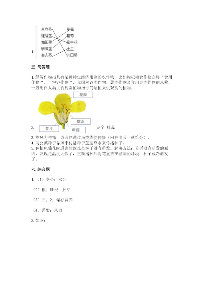 科学四年级下册第一单元《植物的生长变化》测试卷含完整答案（易错题）.docx