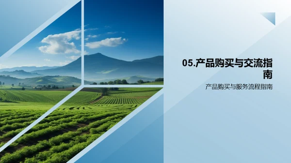 农业革新：智能农场洞察