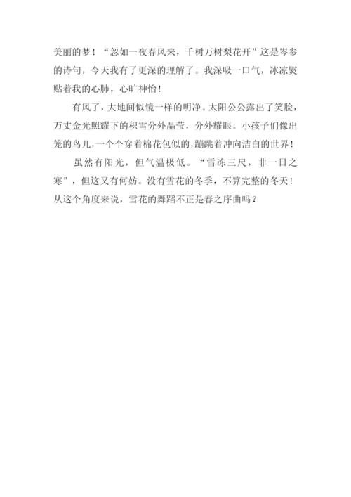 下雪啦作文700字.docx