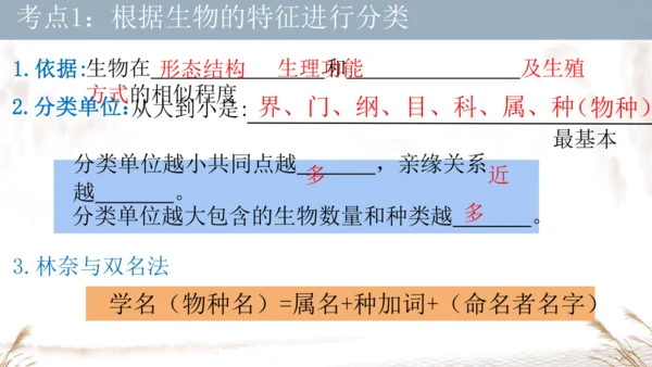 人教版七上2024第二单元复习课件(共20张PPT)