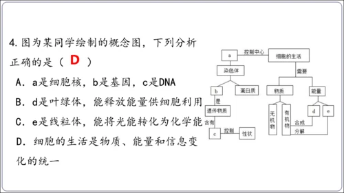 1.1&1.2 认识生物和细胞（复习课件）【2024人教新版七上生物高效完全备课】(共44张PPT)