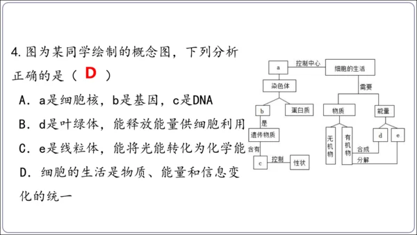 1.1&1.2 认识生物和细胞（复习课件）【2024人教新版七上生物高效完全备课】(共44张PPT)