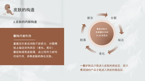 高级灰和棕色简约实拍风美容护肤美容知识培训PPT