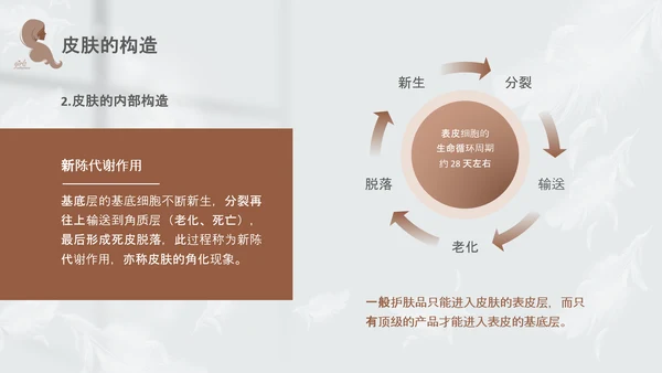 高级灰和棕色简约实拍风美容护肤美容知识培训PPT