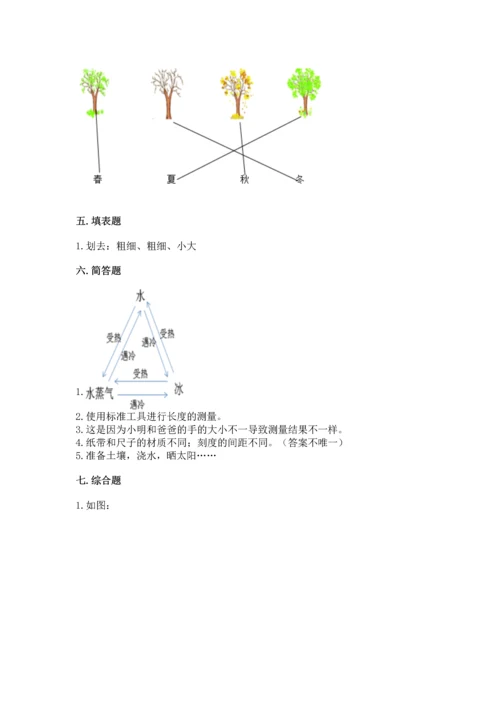 教科版一年级上册科学期末测试卷及参考答案（轻巧夺冠）.docx
