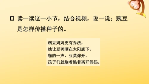3 植物妈妈有办法  课件