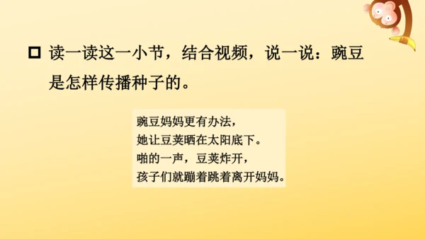 3 植物妈妈有办法  课件