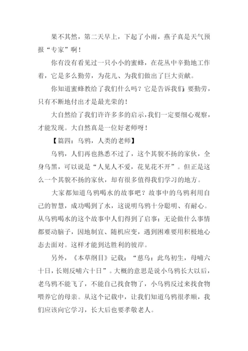 人类的老师作文300字.docx