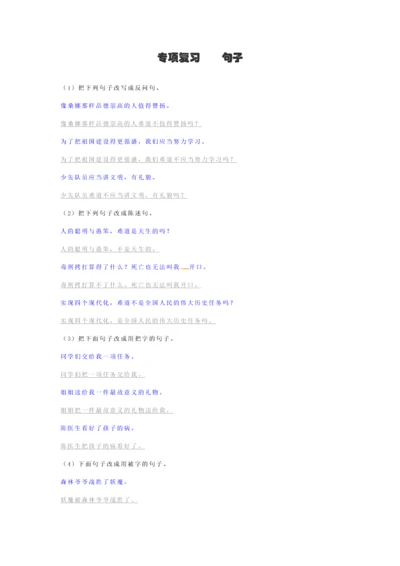 2023年小升初语文专项复习句子精编习题.docx