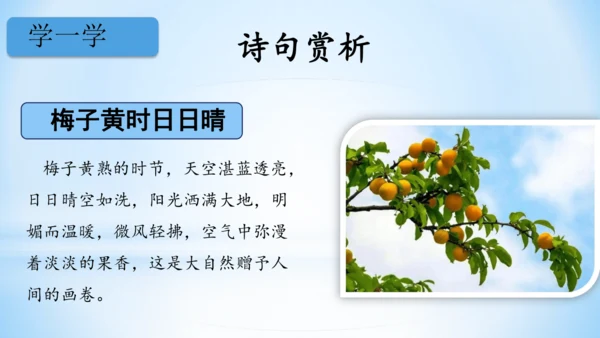 1.古诗三首 三衢道中   (教学课件）