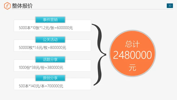 公司运营组织实施全案策划书免费PPT模板
