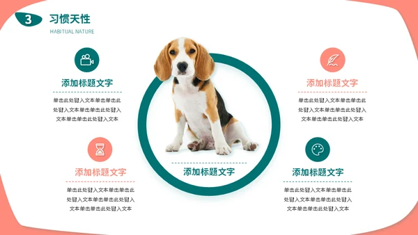 宠物店猫狗饲养心得经验分享通用PPT模板