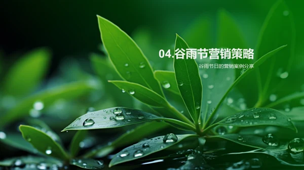 谷雨营销新策略