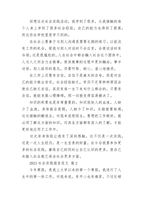 2023社会实践报告范文.docx
