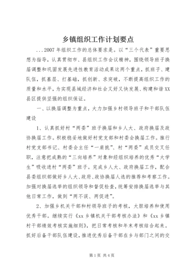 乡镇组织工作计划要点.docx